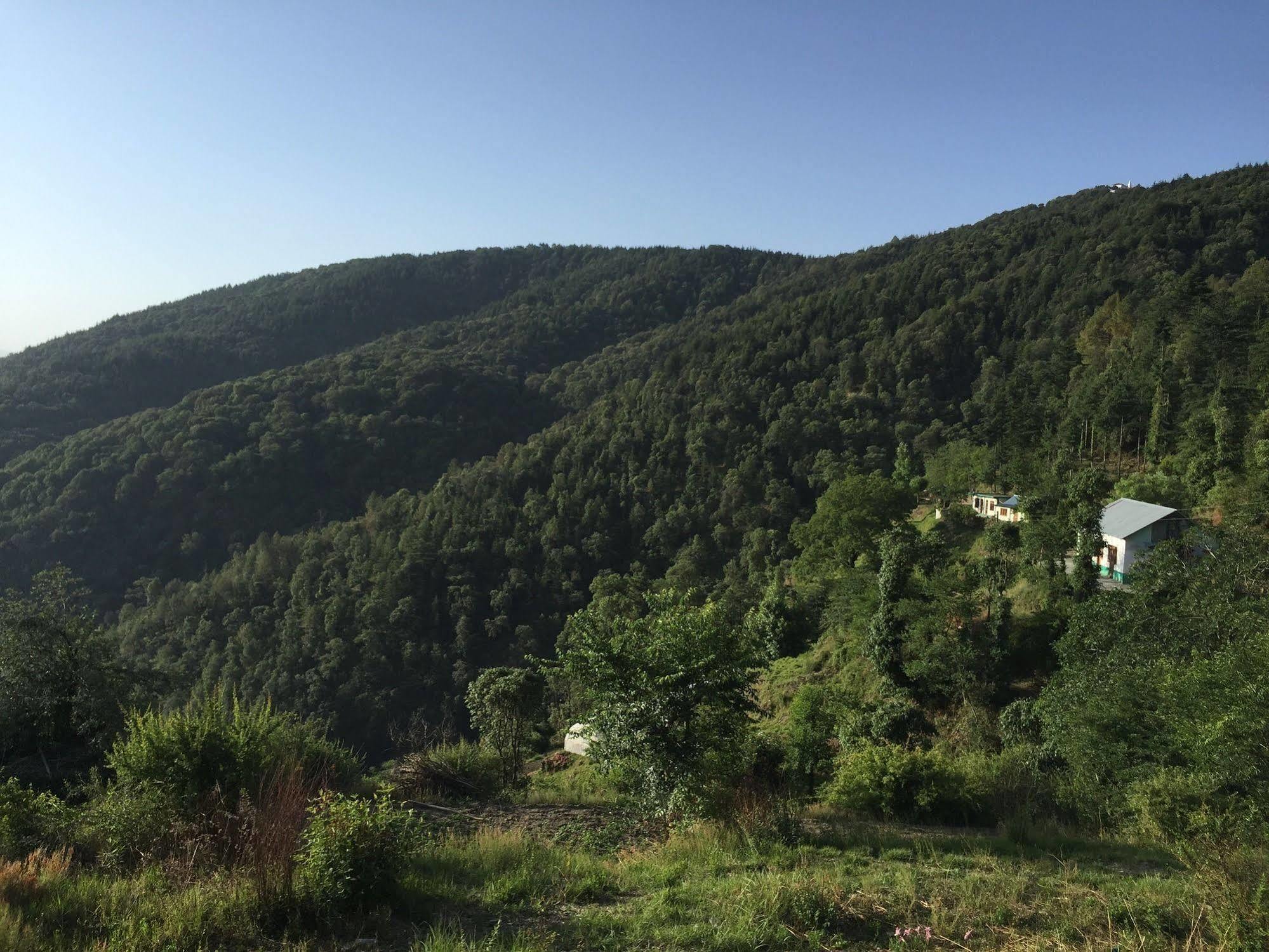 Natureraga Fernhill Resort צ'איל מראה חיצוני תמונה